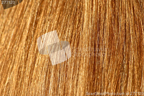 Image of Blonde hair