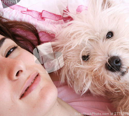 Image of Dog sleeping on bed 