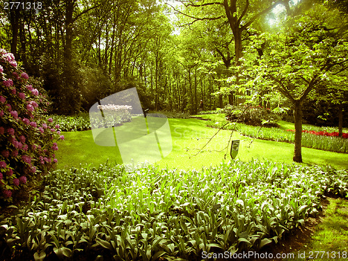 Image of Park