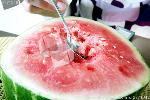 Image of Watermelon