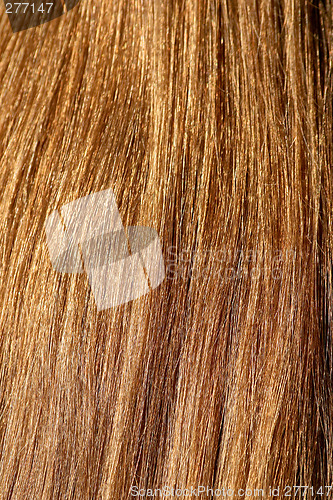 Image of Blonde natural