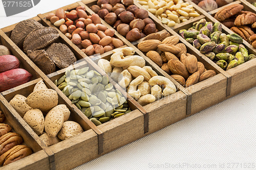 Image of nuts and seed abstract