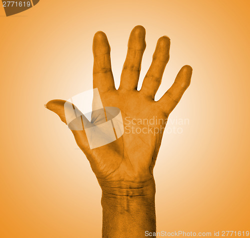 Image of Hand symbol, saying five, saying hello or saying stop