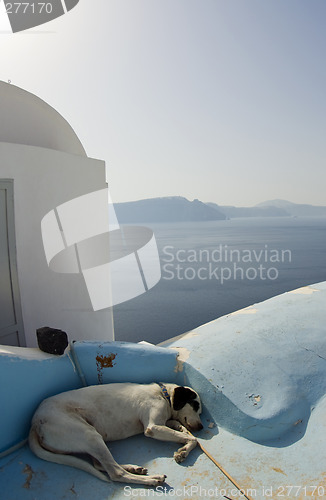 Image of dog sleeping greek islands over the sea santorini