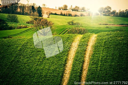 Image of Agriculture field with large tracks