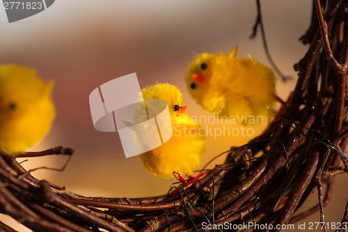 Image of Yellow easter chickens dancing on some twigs
