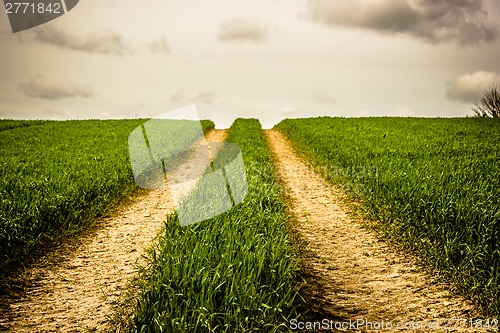 Image of Road on a field with green grass