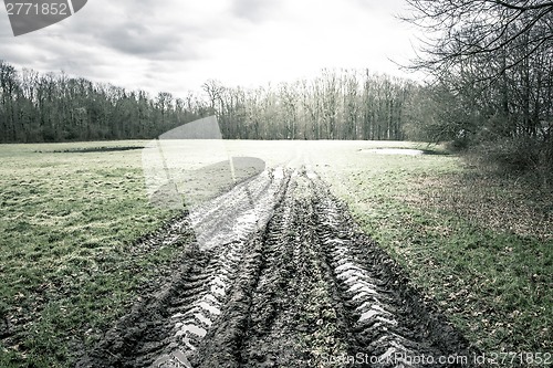 Image of Large wheel tracks in the mud on a green field