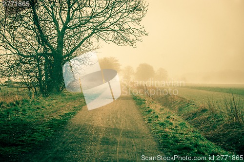 Image of Sunrise at a countryside road in spring