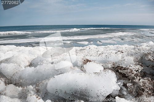 Image of Arctic scene