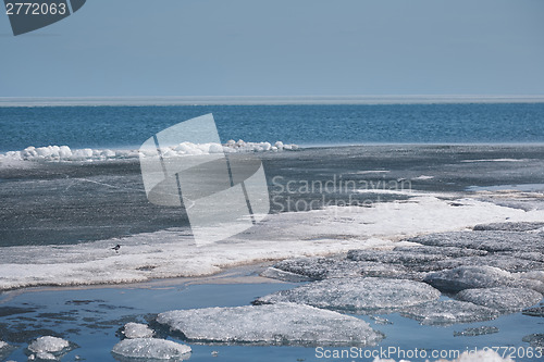 Image of Arctic scene