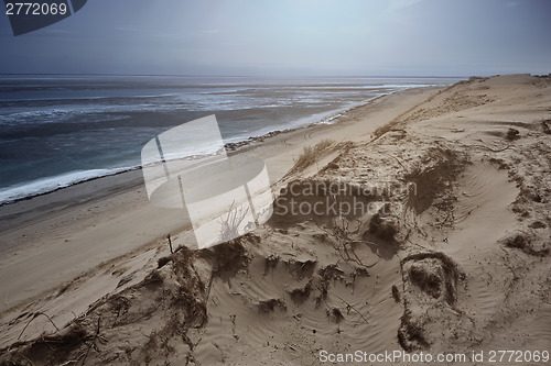 Image of Sea and desert