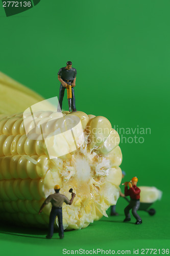 Image of Miniature Construction Workers in Conceptual Food Imagery With C