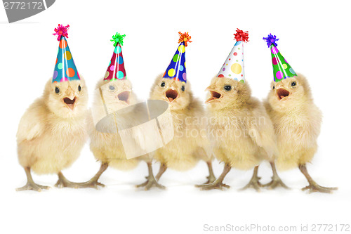 Image of Yellow Baby Chicks Singing Happy Birthday