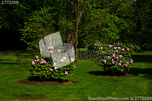 Image of Rest park on Petrin, Prague.