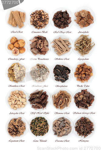Image of Chinese Herbs