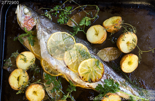 Image of Baked Rainbow Trout