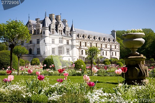 Image of Chateau de Chenonceau