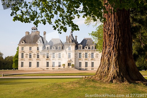 Image of Chateau de Cheverny behind the tree