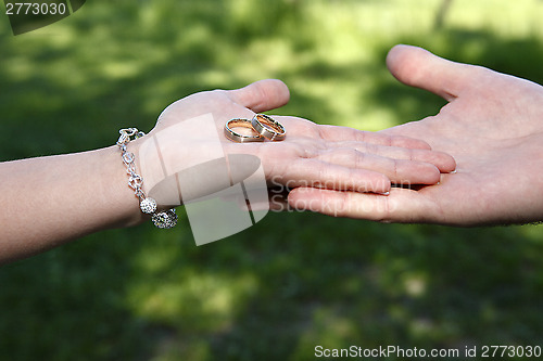 Image of Hands of a bride and groom