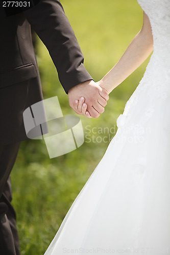 Image of Hands of a bride and groom