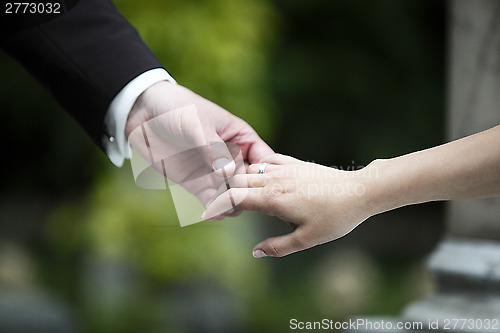 Image of Hands of a bride and groom