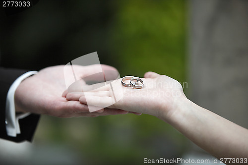 Image of Hands of a bride and groom