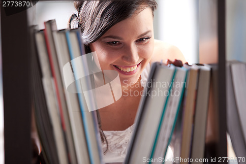 Image of student studying in the library 