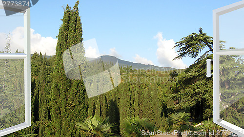 Image of opened window to the tropic forest