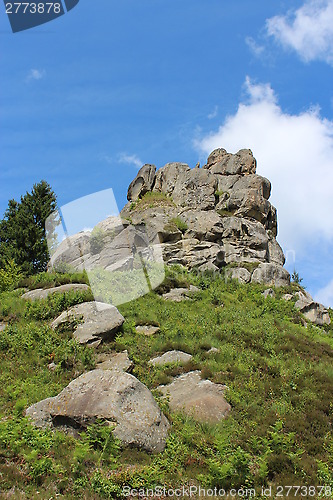 Image of sheafs of hay standing in Carpathian mountains