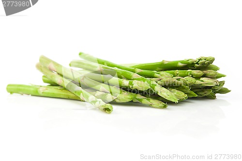 Image of Asparagus Bundle on White