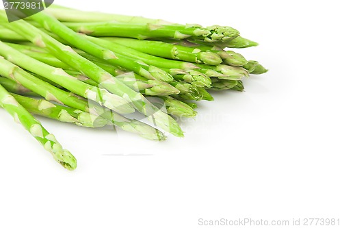 Image of Asparagus Bundle on White