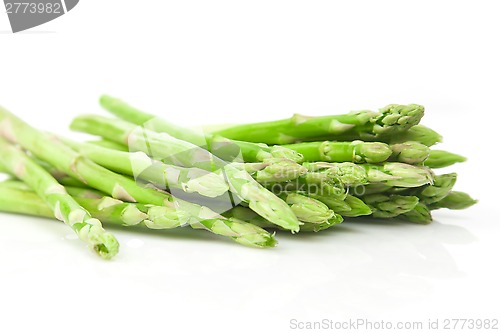 Image of Asparagus Bundle on White