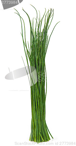Image of Bunch of chives