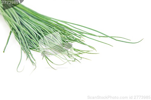 Image of Bunch of chives