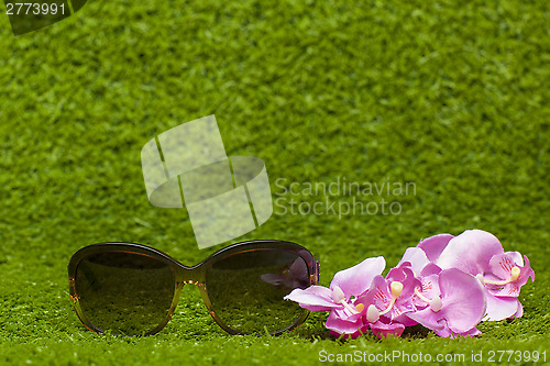 Image of brown Sunglasses on greeen grass