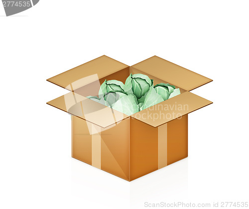 Image of Green cabbage in cardboard box