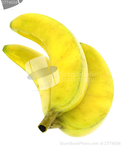 Image of bananas