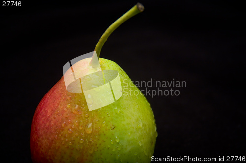 Image of Pear