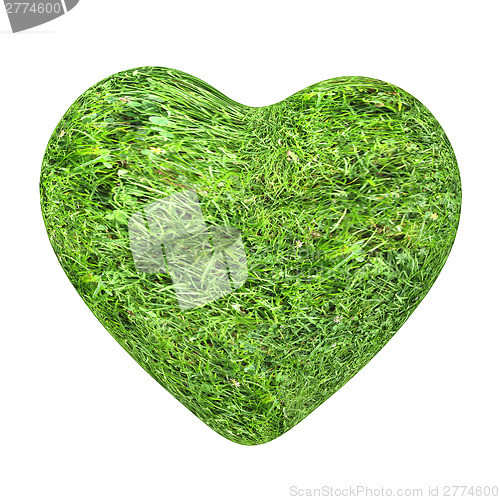 Image of 3d grass heart