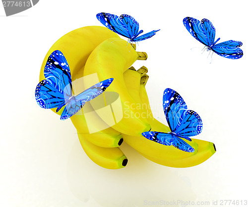 Image of Blue butterflys on a bananas