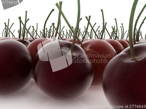 Image of sweet cherries 