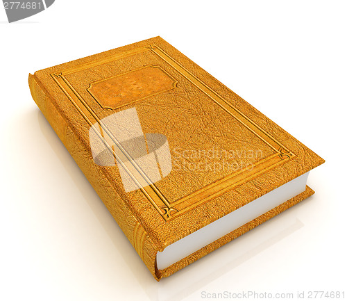 Image of The leather book 