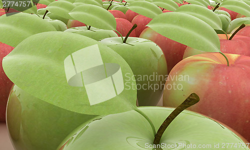 Image of apples 