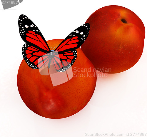 Image of Red butterflys on a fresh peaches