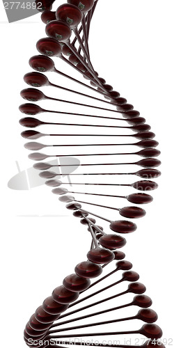 Image of DNA structure model 
