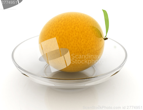 Image of Citrus