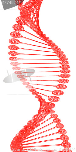 Image of DNA structure model 