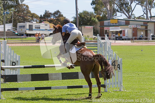 Image of Horse Jumping