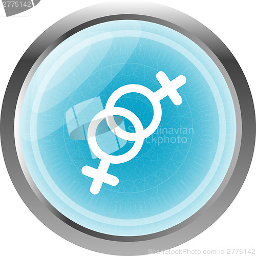 Image of sex web glossy icon isolated on white